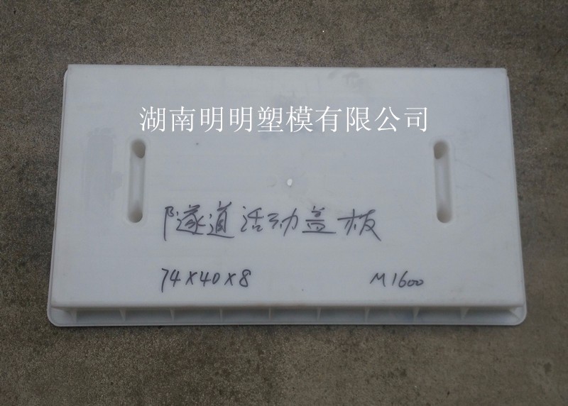 河南湖南隧道蓋板塑料模具那家好